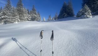 Un début d’année rock ‘n’ roll
