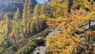 Marécottes Emosson à l’automne