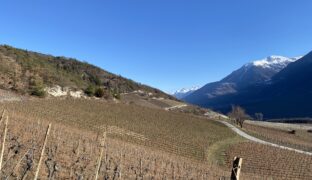 Chemin du vignoble 4e tronçon Sierre – Leuk