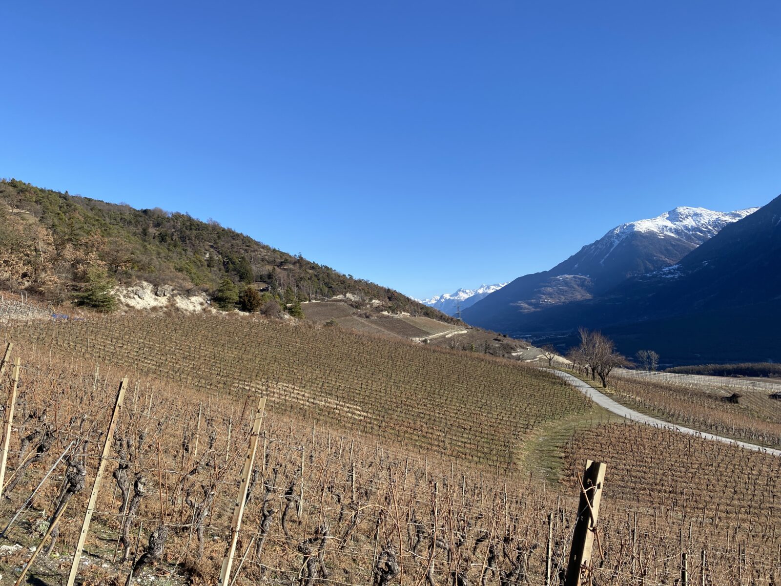 Chemin du vignoble 4e tronçon Sierre – Leuk