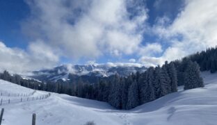 Cerniat – région Charmey