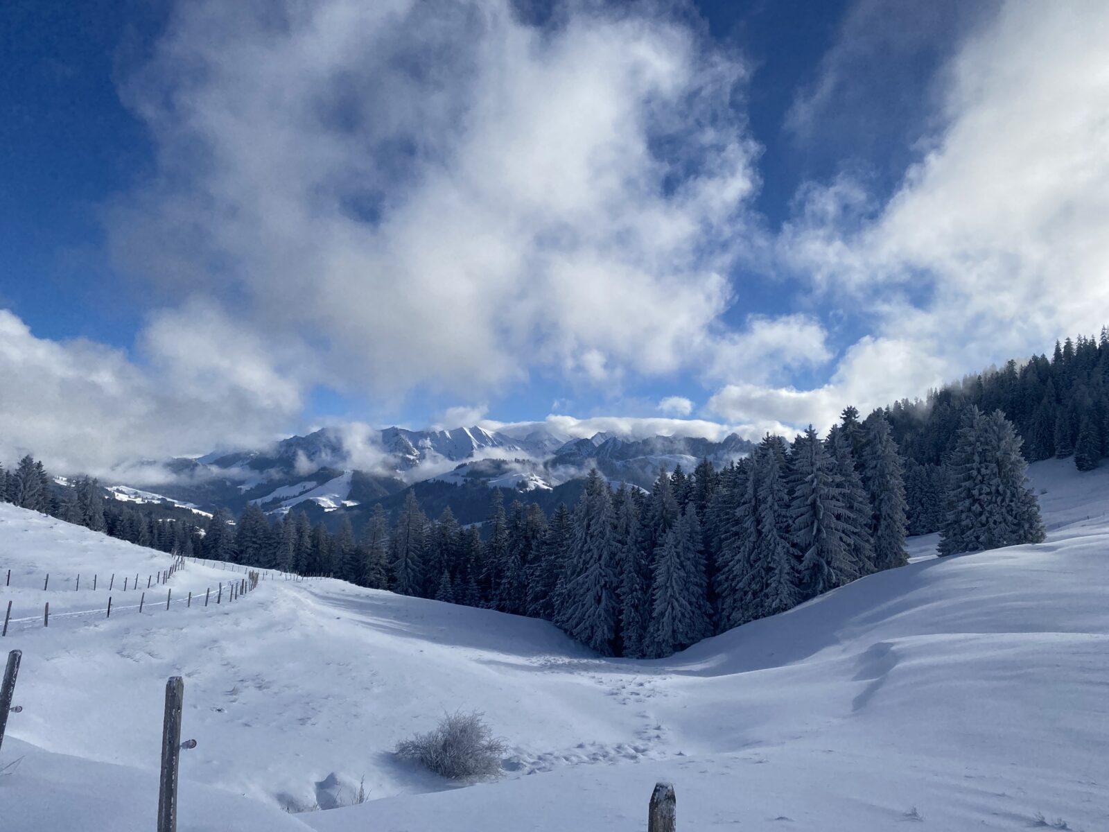 Cerniat – région Charmey