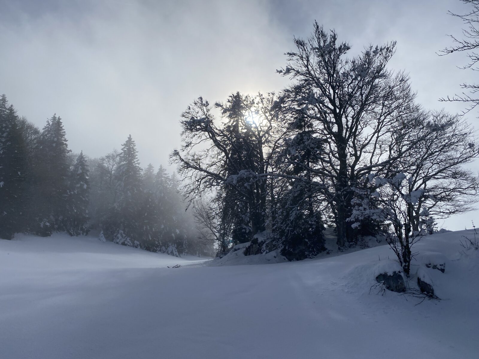 Chasseron – Vaulion – Gottéron