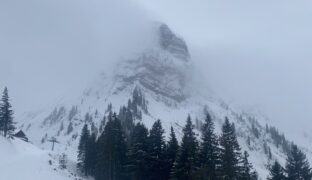 Plan Francey hivernal