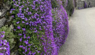 Lavaux par les hauts