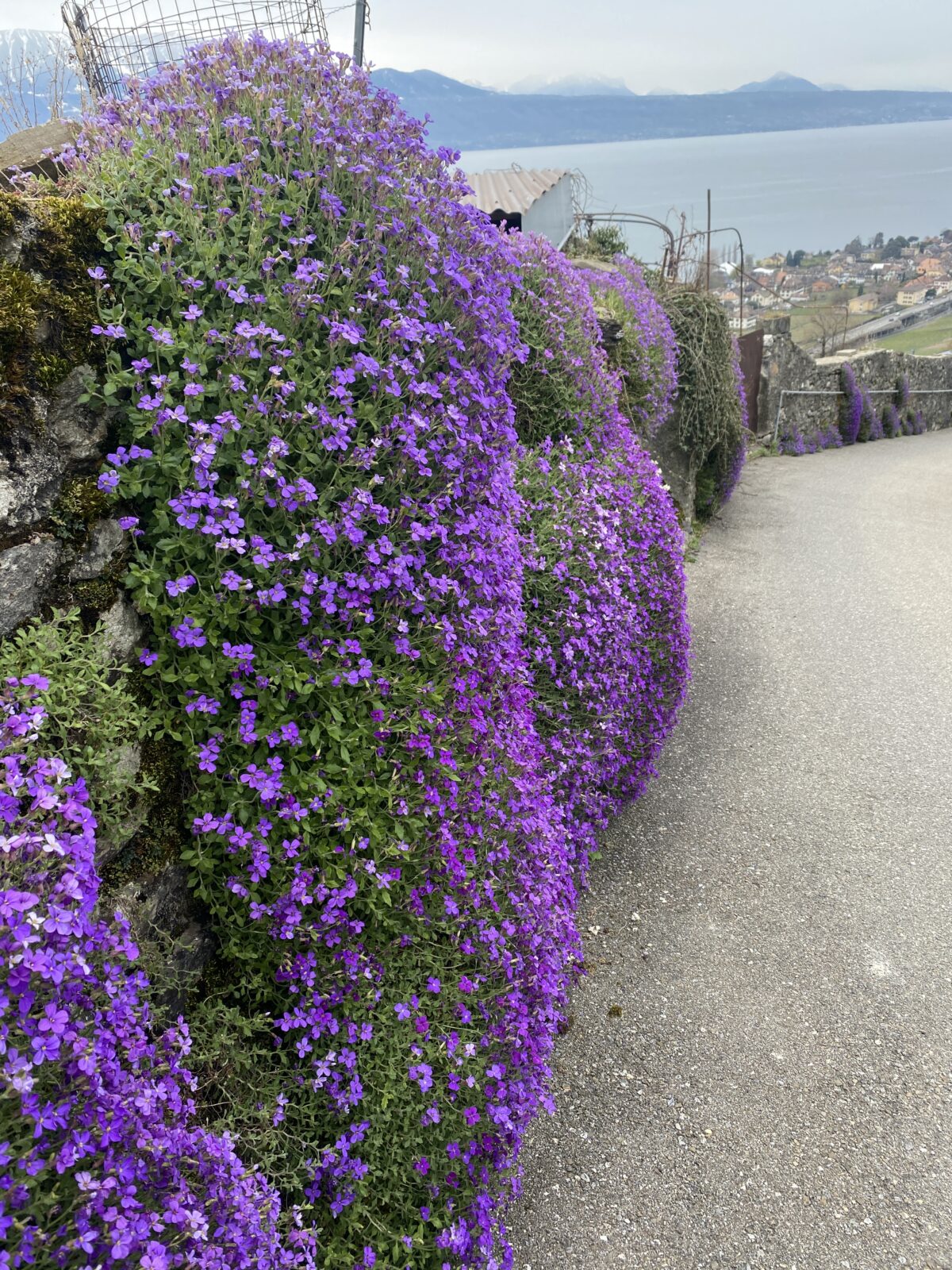 Lavaux par les hauts