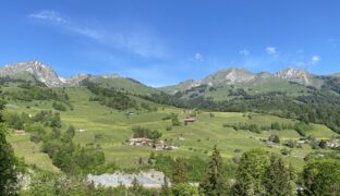 la Brâ de Montbovon